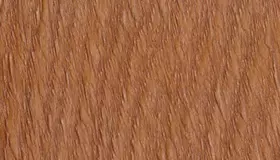 Образец № 20