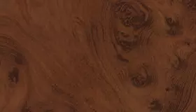 Образец № 57